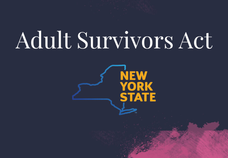 TLC-News-Governor-Signs-Adult-Survivors-Act